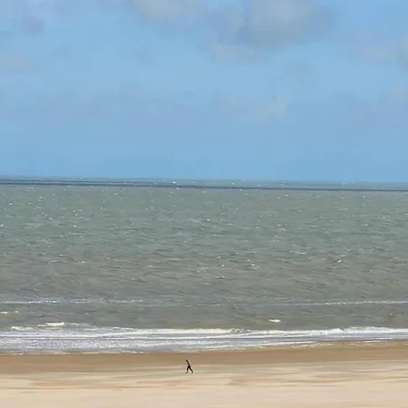 Sunny Near Brugge * Knokke-Heist