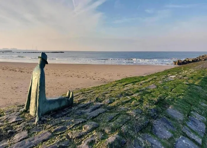 Apartament Sunny Near Brugge