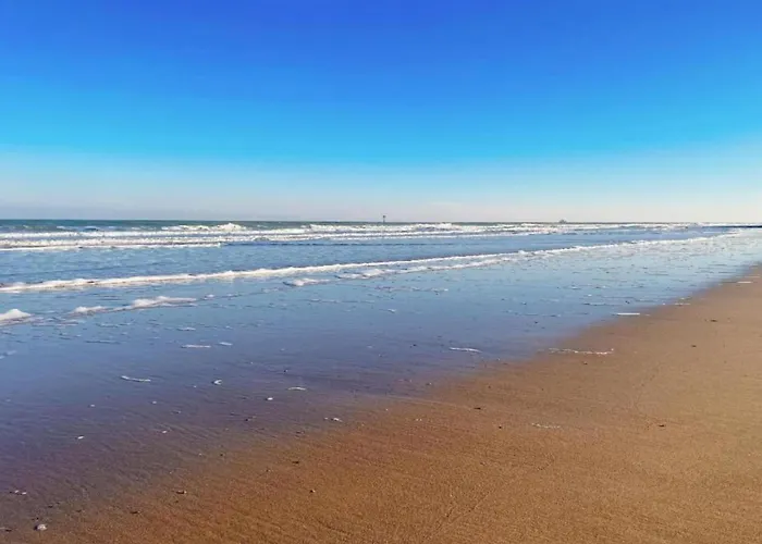 Sunny Near Brugge Knokke-Heist