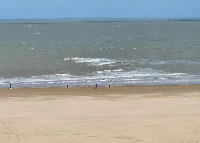 Apartament Sunny Near Brugge *