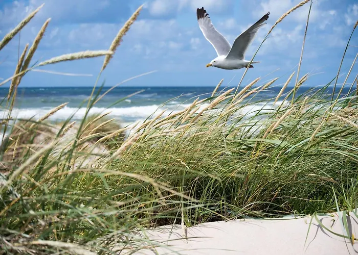 Sunny Near Brugge Апартаменты Кнокке-Хейст